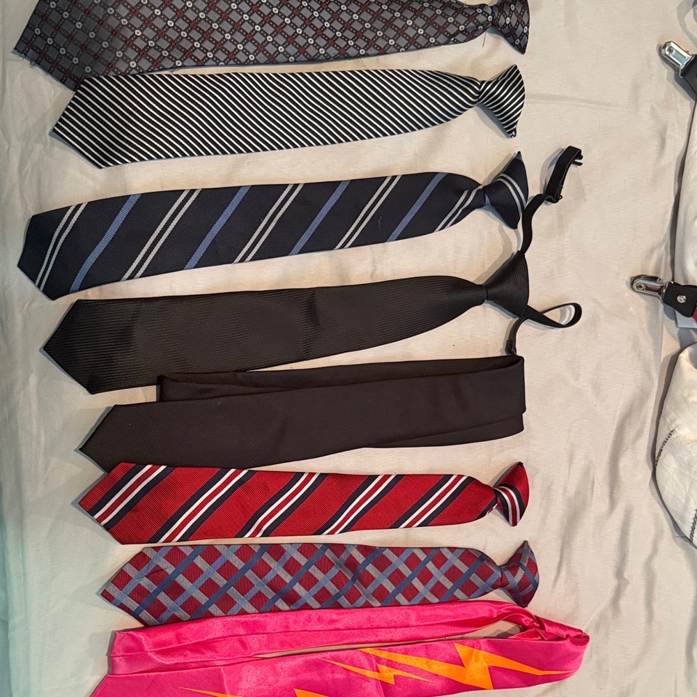 Assorted Boy’s Ties in Various Colors - lot of 9